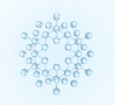 Sodium Phytate